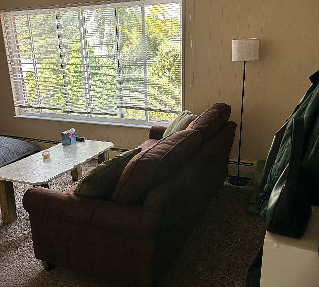 Standing just inside apartment entrance looking at living room area