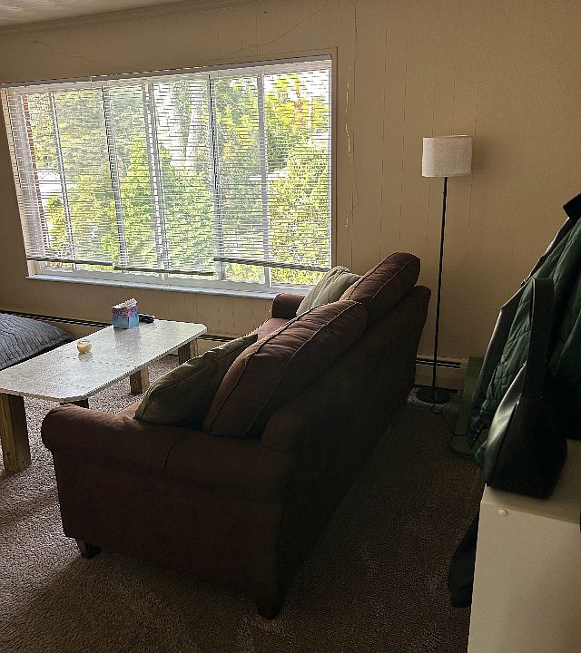 Standing just inside apartment entrance looking at living room area