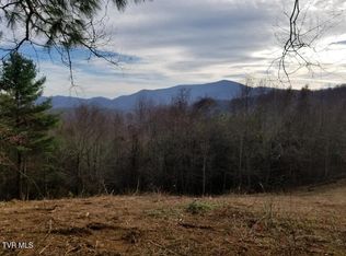 Tbd Bear Branch Rd, Roan Mountain, TN 37687