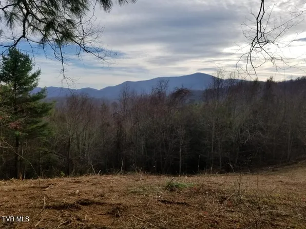 Tbd Bear Branch Rd, Roan Mountain, TN 37687