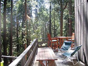Back Deck