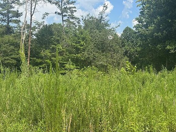 2nd image of 310 Windsong Dr