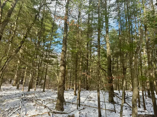 5434 S Mount Tom Rd, Rose City, MI 48654