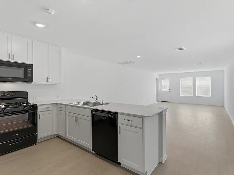 3120 Burmese St — Photo 6