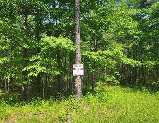 4th image of 662 Timber Creek Trl