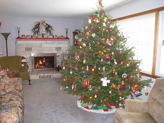 Bright living room w a cozy fireplace