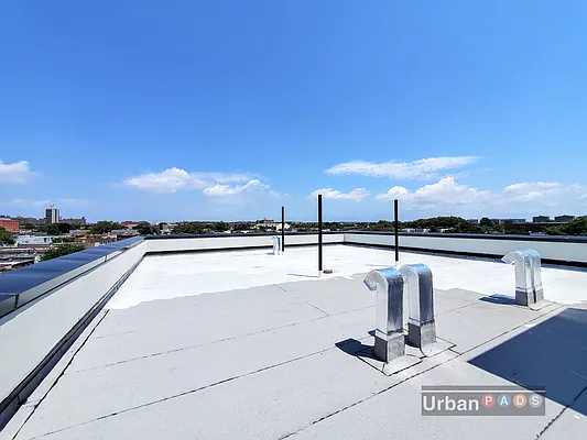 Rented by Urban Pads | media 41