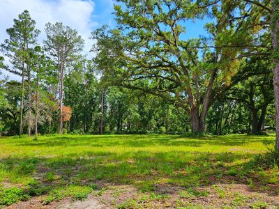 0 86th Ter Lot 17, Live Oak, FL, 32060