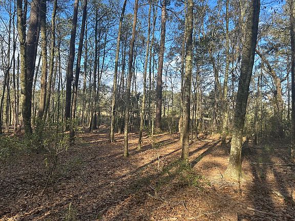 2nd image of 0 Cooke Rd Lot 3