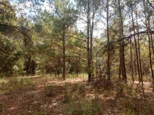 Tbd Sw 79th Ter, Jasper, FL 32052