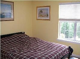 4th image of 6409 White Tail Dr