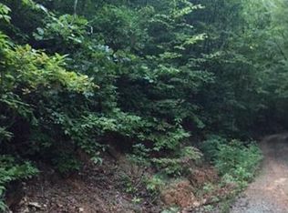 2222 High Top Mountain Rd, Leicester, NC 28748