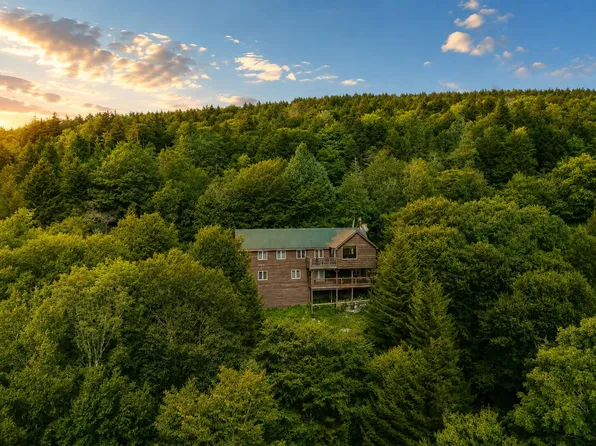 420 N West Ridge Rd, Snowshoe, WV 26209