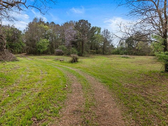 3rd image of County Road 1124 Old Hwy #11