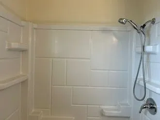 Main bath shower with hand-held nozzle and brushed nickel shower rod