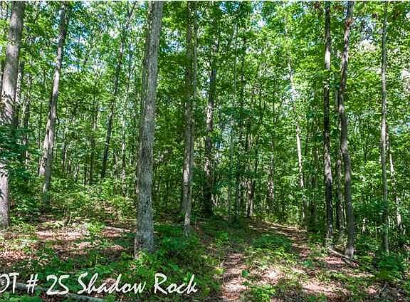 5th image of 25 Shadow Rock Dr