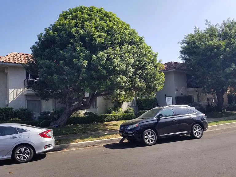 Mammoth Ave — Photo 58