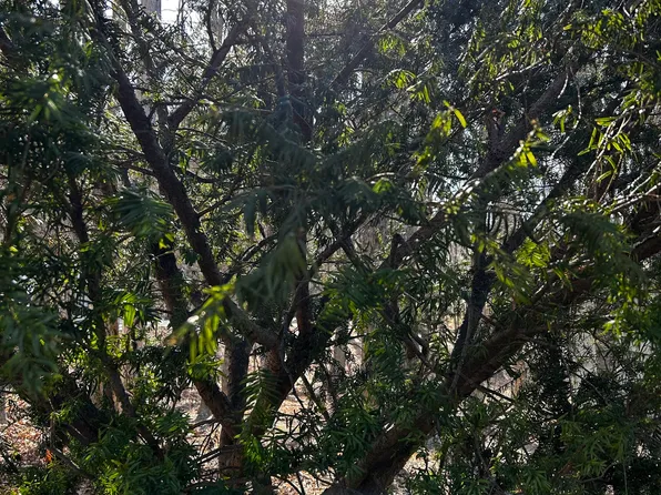 0 Red Bridge Road, Thompson, CT 06255