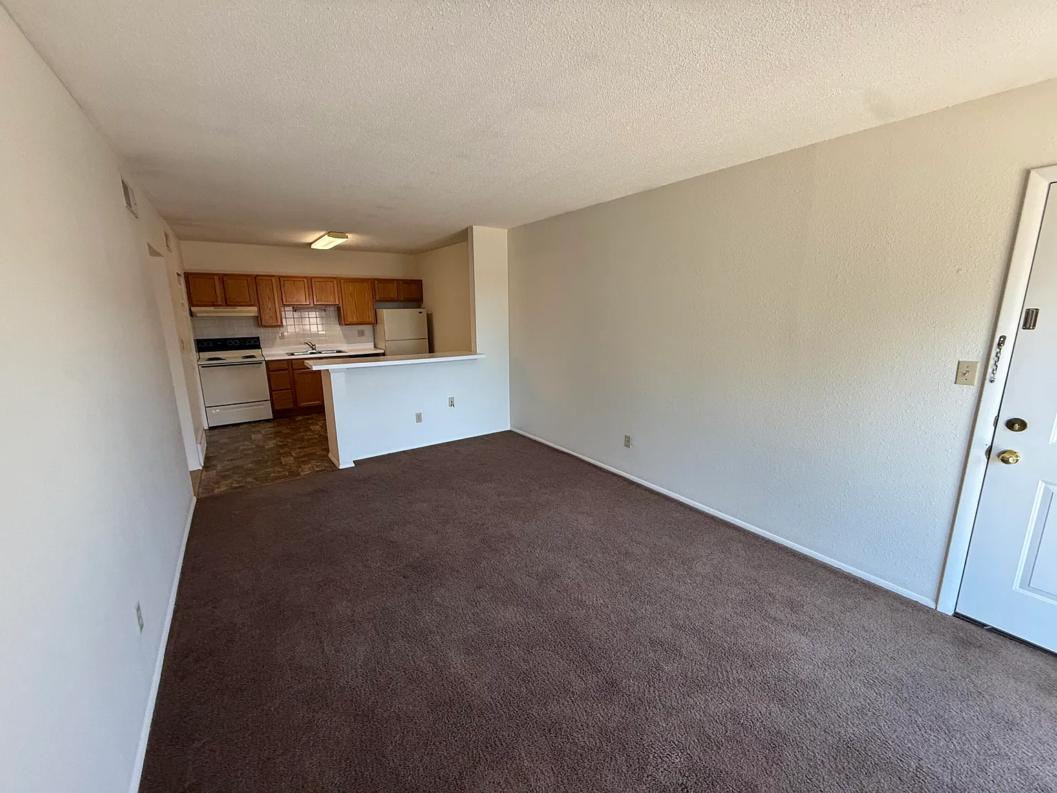 1 bed, 1.0 bath, $875 — Photo 3