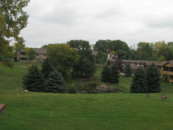 Green space and wetland in backyard!