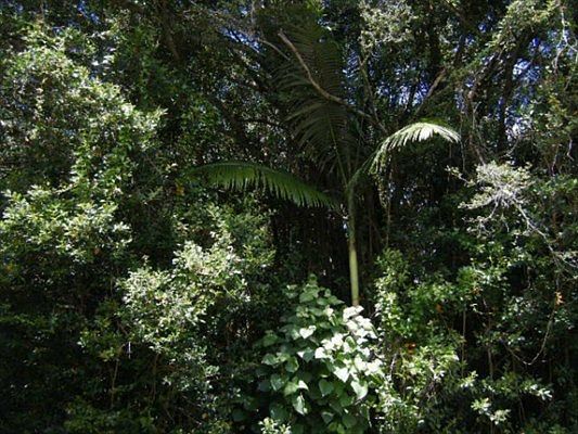 2nd image of Pohaku Cir