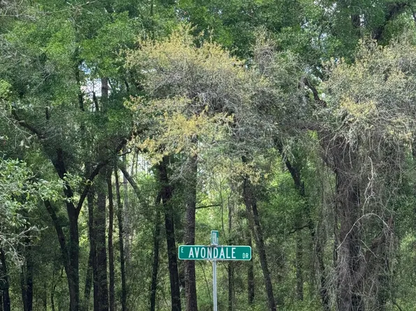 433 E Avondale Dr, Citrus Springs, FL 34434