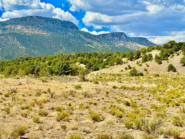 5351 County Road 15, South Fork, CO 81154