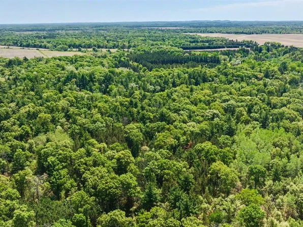 40+/- Acres Highway 13, Friendship, WI 53934