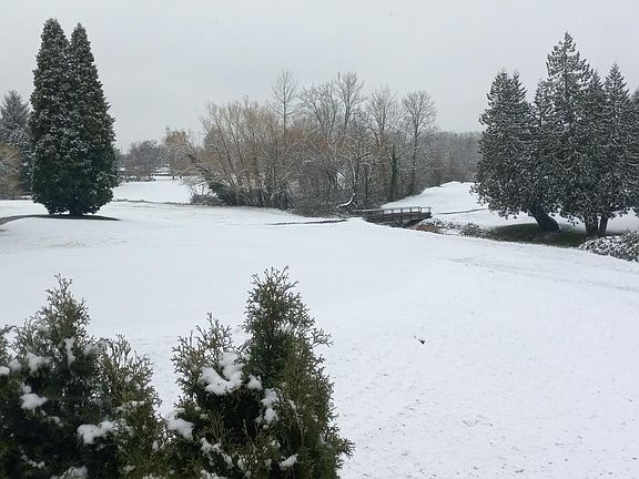 view from the bedroom