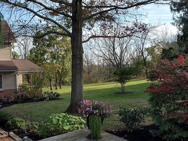 Beltz Rd — Photo 42