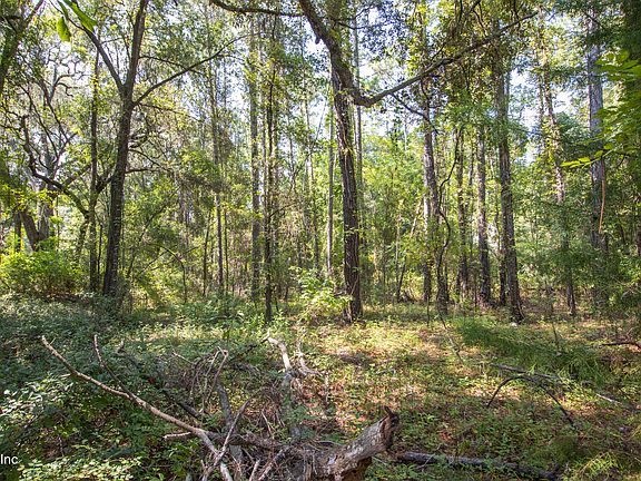 4th image of 101 ASHLEY LAKE Drive