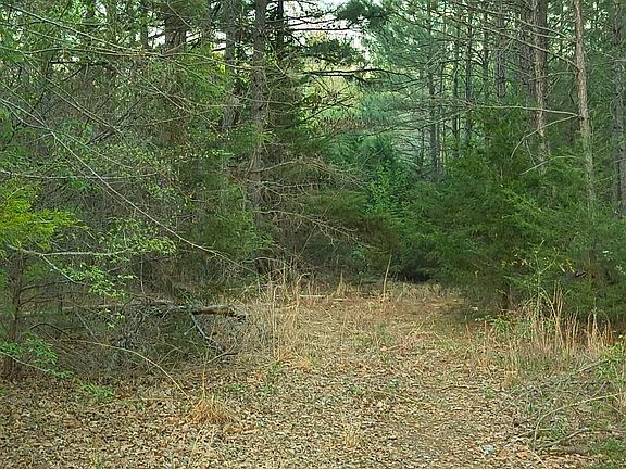 2nd image of 10834 County Road 4162