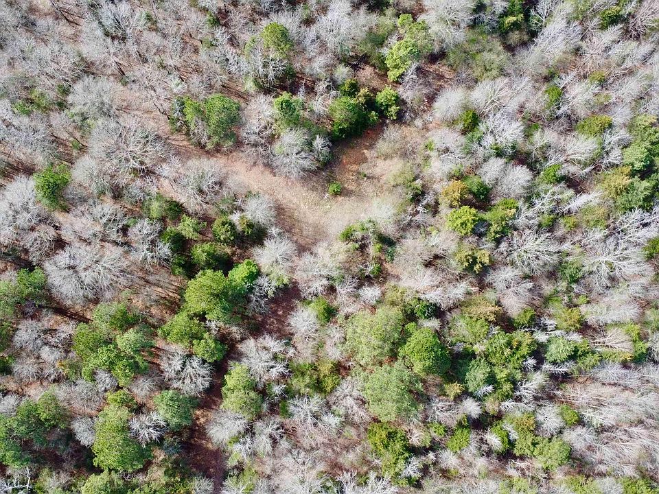 2nd image of County Road 1460 #4