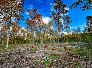 6171 Hamilton Rd, Alpena, MI 49707