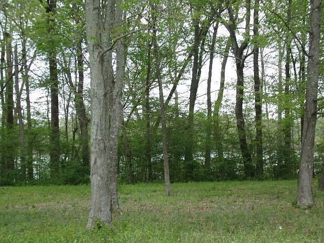 2nd image of 8 Woods Lake Rd #8