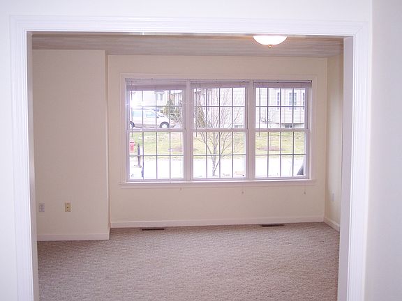 Living Room Window