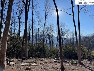 17 Jackson Ridge Road, Boone, NC, 28607