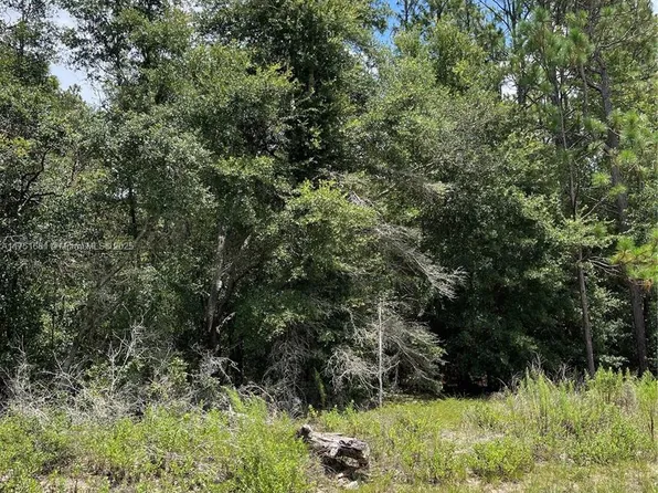 SW 59th Ln, Dunnellon, FL 34431