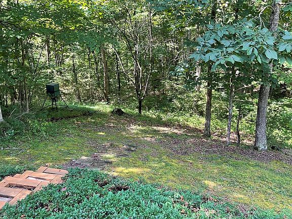 4th image of 213 Eagle Crest Dr