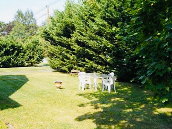 Gardens and drive way