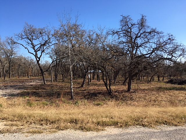 14 acre property 