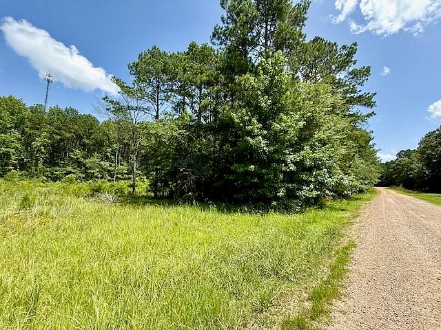 2nd image of Maguire Rd Lot 4