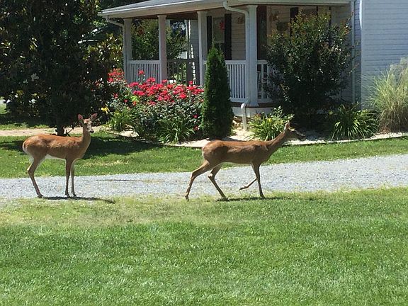 July, 2017.....visitors 