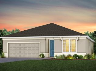 5673 Flame Vine Way St, Saint Cloud, FL 34771