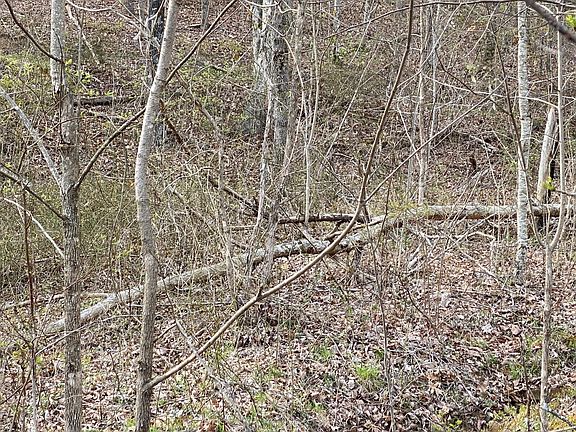 2nd image of 4 Mountain Lake Dr Lot Lto
