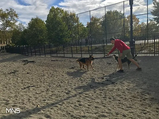 Rented by MNS | media 34