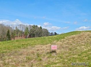 117 Israel Rd, Leicester, NC 28748