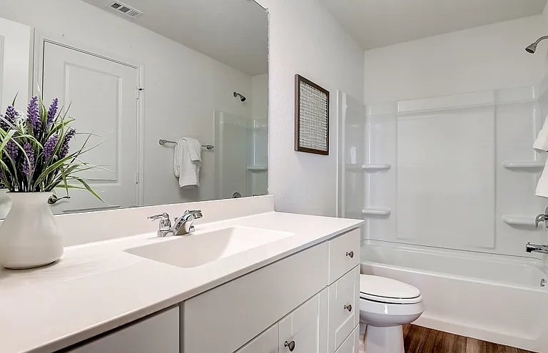 Beacon at Meridian Rental Homes — Photo 21