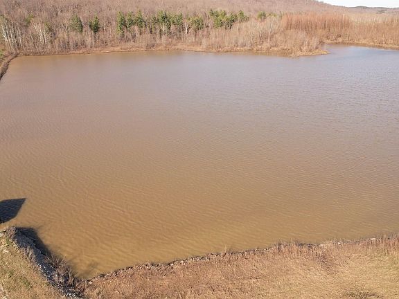 4th image of Lily Rd