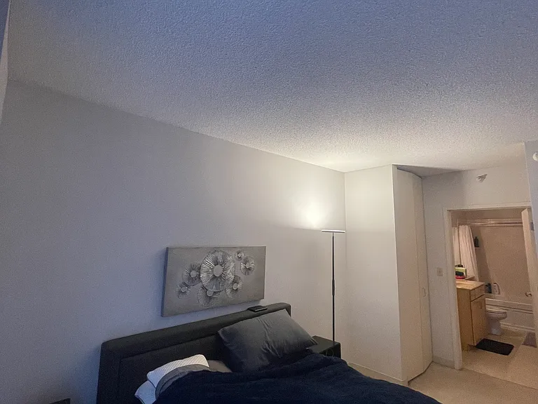 222 N Columbus Dr #2907 — Photo 17